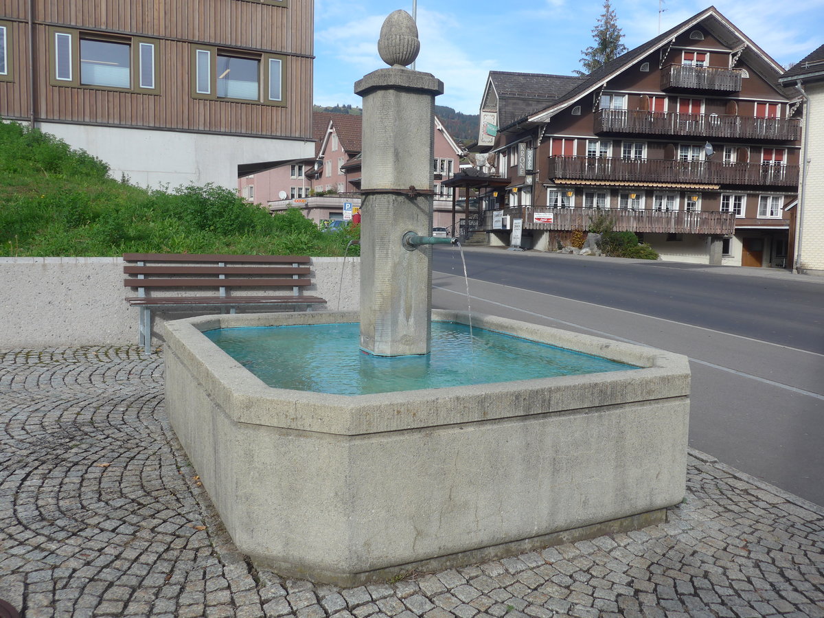 (222'450) - Brunnen am 22. Oktober 2020 in Nesslau