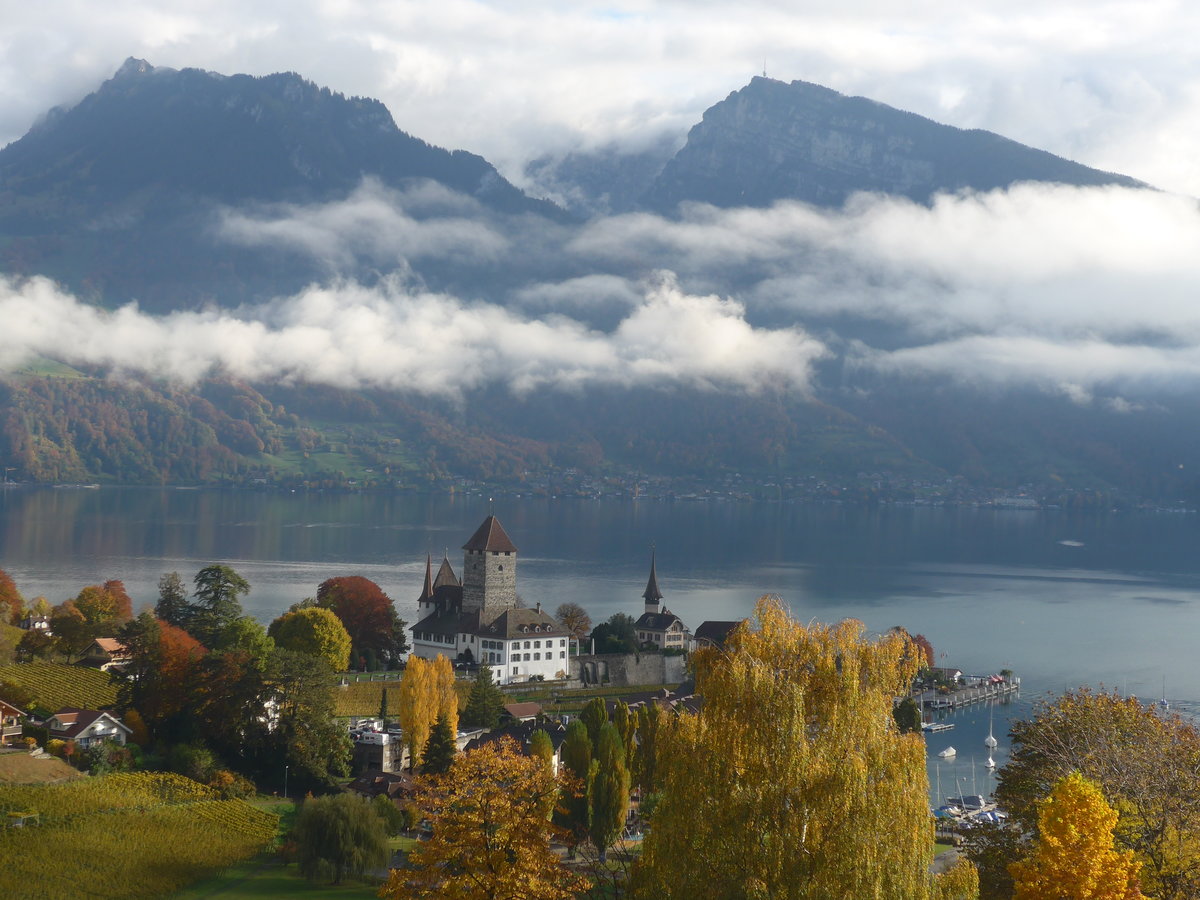 (222'590) - Die Spiezer Bucht mit Schloss und Thunersee am 24. Oktober 2020