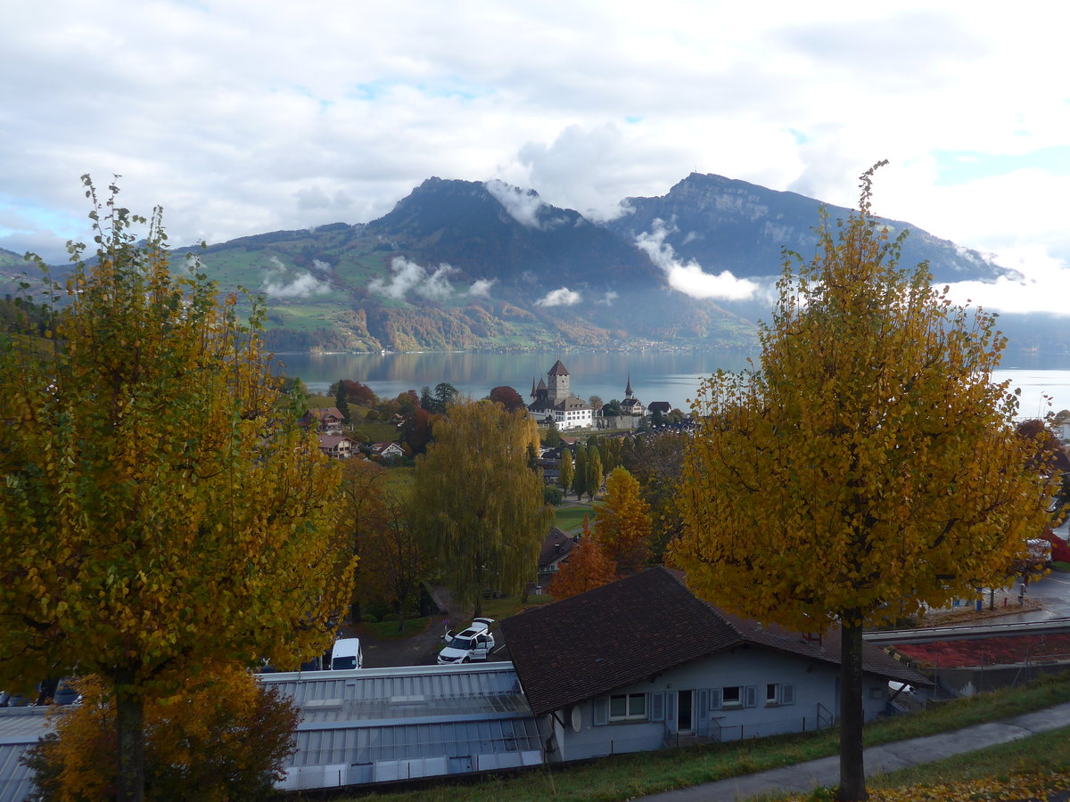 (222'592) - Die Spiezer Bucht mit Schloss und Thunersee am 24. Oktober 2020