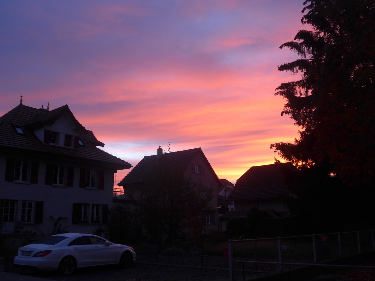 (222'730) - Morgenrot im Lerchenfeld bei Thun am 1. November 2020