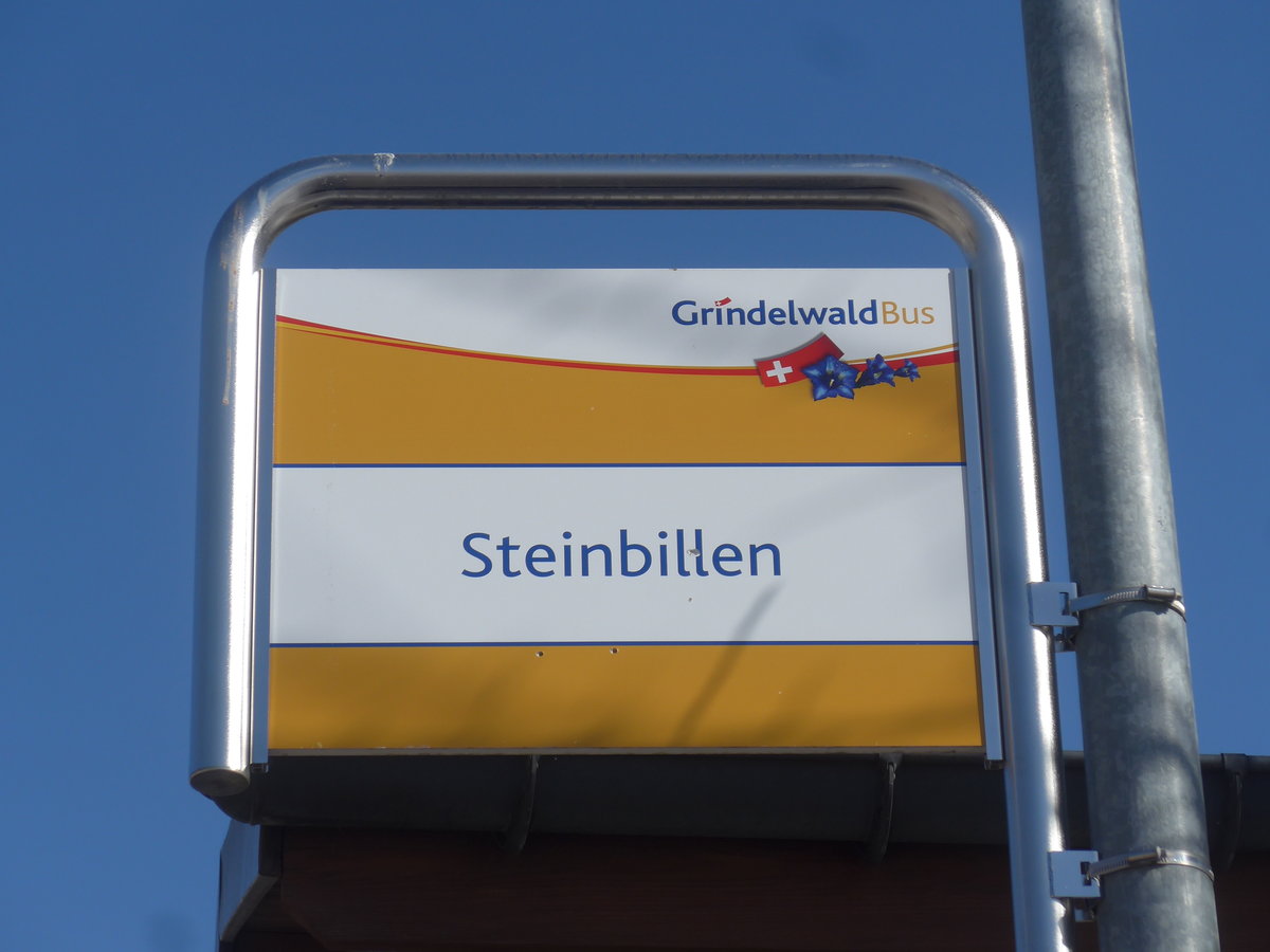 (223'869) - Grindelwald Bus-Haltestelle - Grindelwald, Steinbillen - am 28. Februar 2021