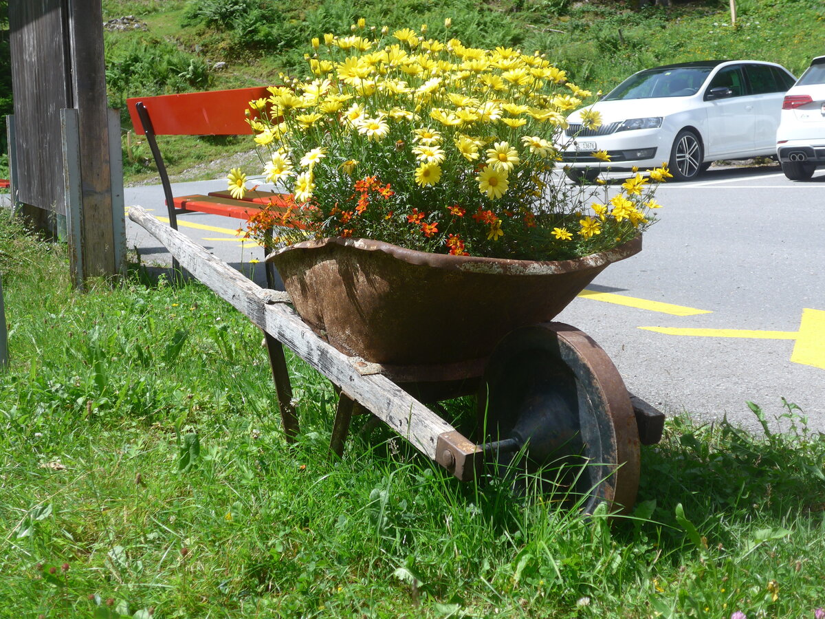 (226'431) - Blumengarette am 12. Juli 2021 in Schwanden, Kies