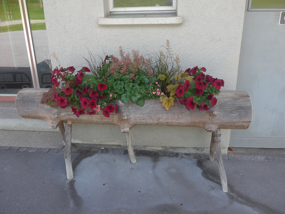 (226'476) - Blumentr�gli am 12. Juli 2021 in Engi, Vorderdorf