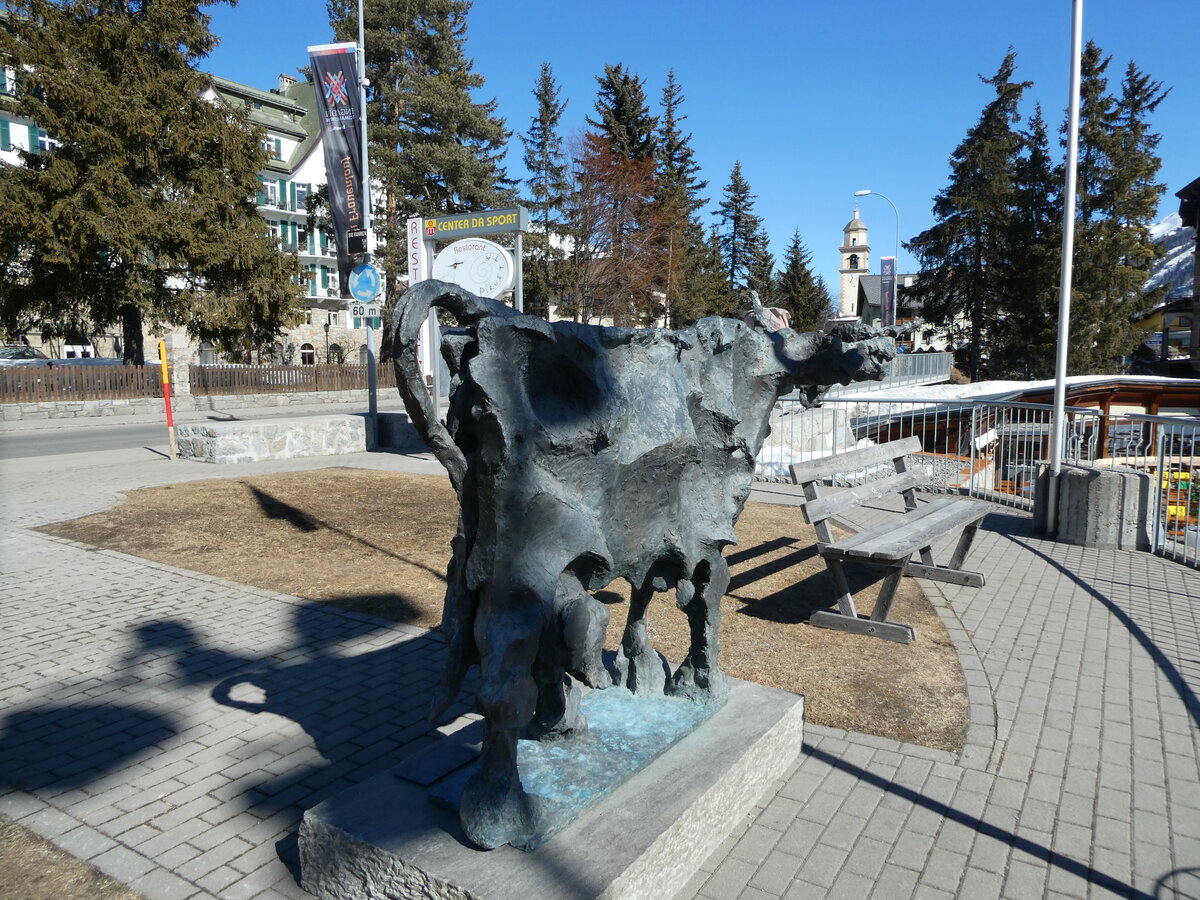 (233'652) - Die etwas andere Kuh am 10. M�rz 2022 in Celerina, Cresta Palace