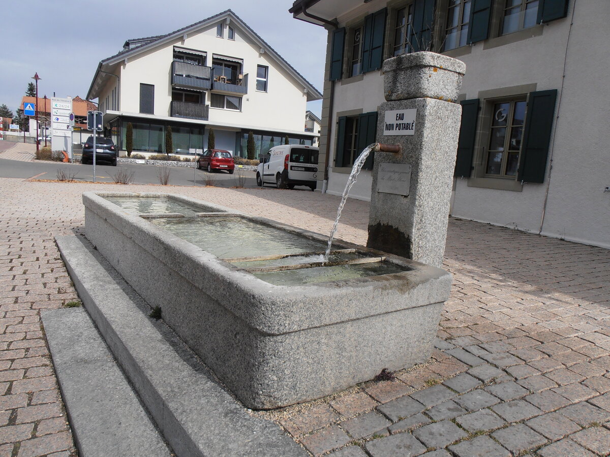 (233'925) - Brunnen von 1886 am 13. M�rz 2002 in M�zi�res, Village