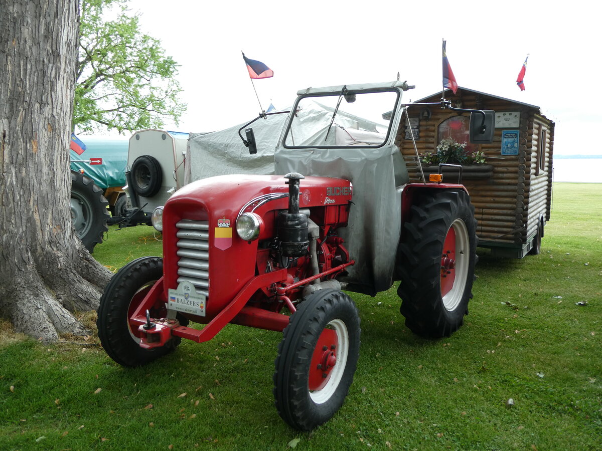 (235'821) - Bucher - FL 1628 - am 21. Mai 2022 in Arbon, Arbon Classics