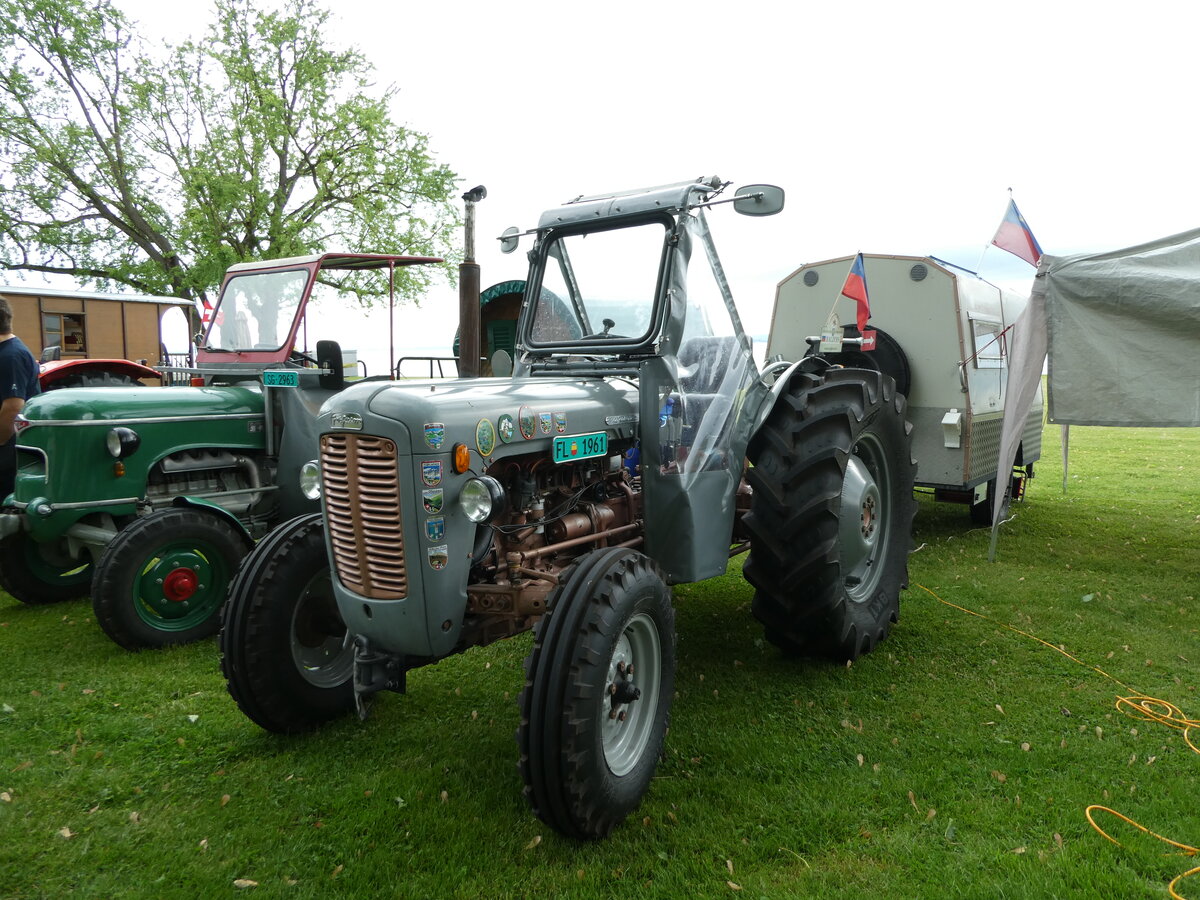 (235'823) - Ferguson - FL 1961 - am 21. Mai 2022 in Arbon, Arbon Classics