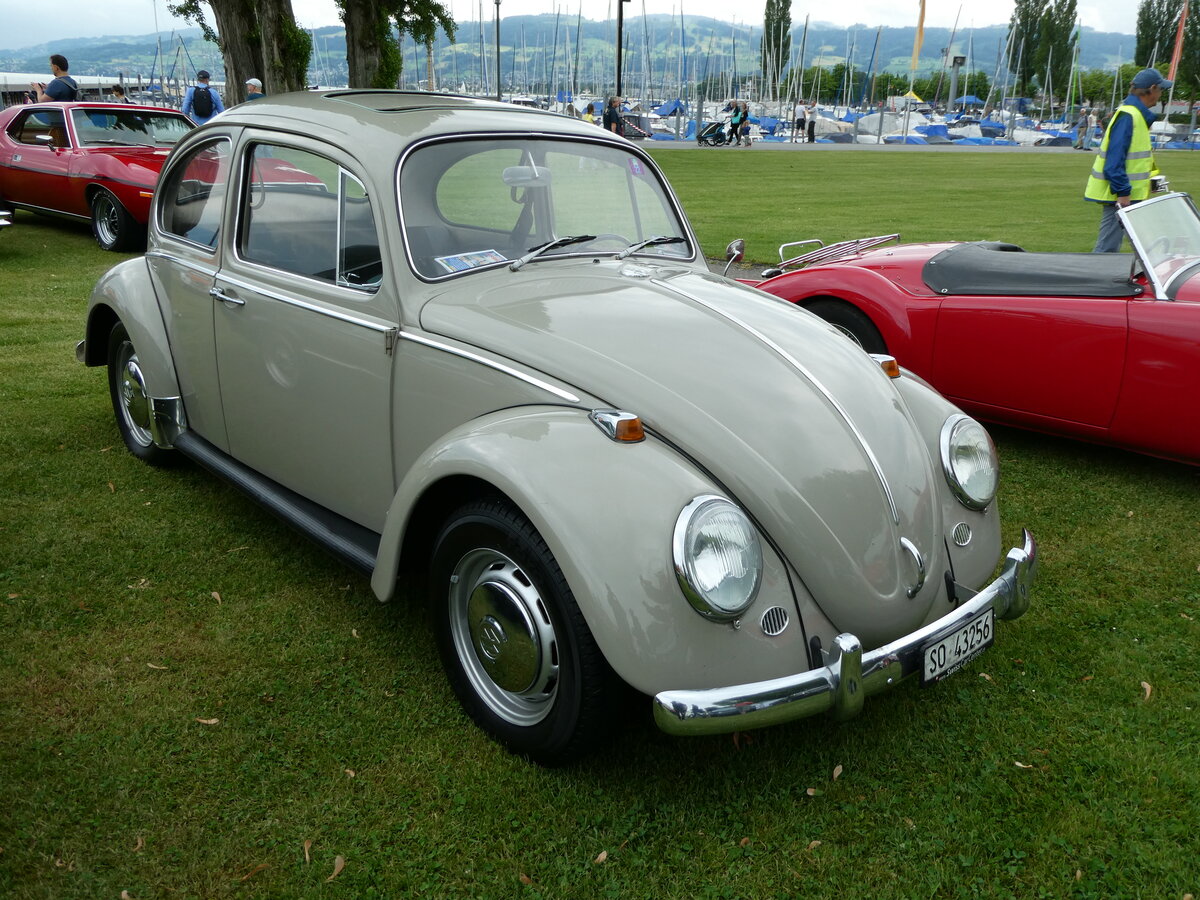 (235'917) - VW-K�fer - SO 43'256 - am 21. Mai 2022 in Arbon, Arbon Classics