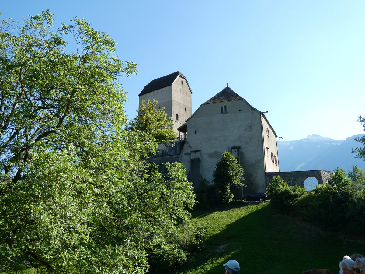 (238'269) - Das Schloss Sargans am 17. Juli 2022