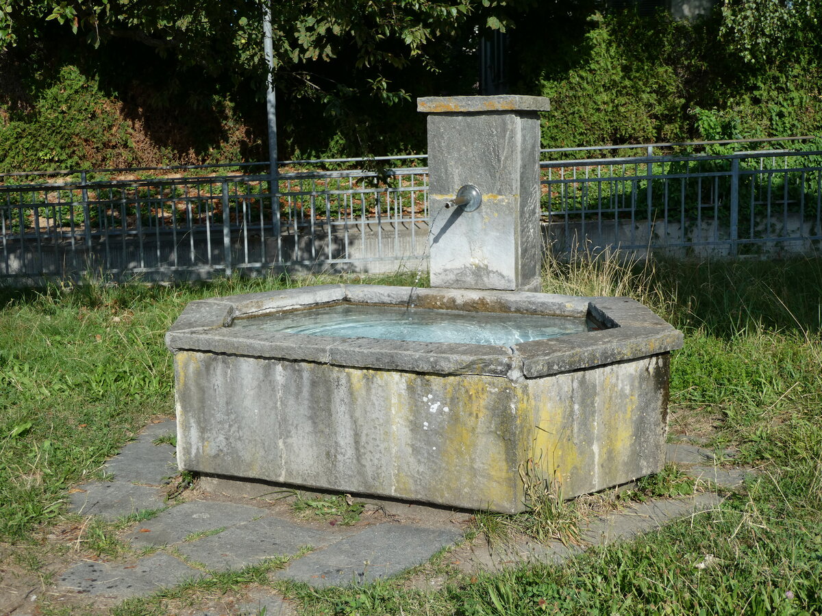 (238'739) - Brunnen am 1. August 2022 beim Bahnhof Sch�pfen