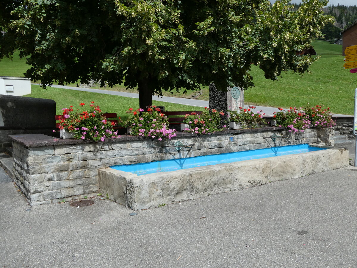 (239'237) - Brunnen am 20. August 2022 in Wildhaus