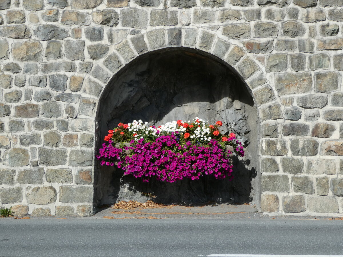 (241'090) - Blumenschmuck in der Mauer am 12. Oktober 2022 beim Bahnhof St. Moritz