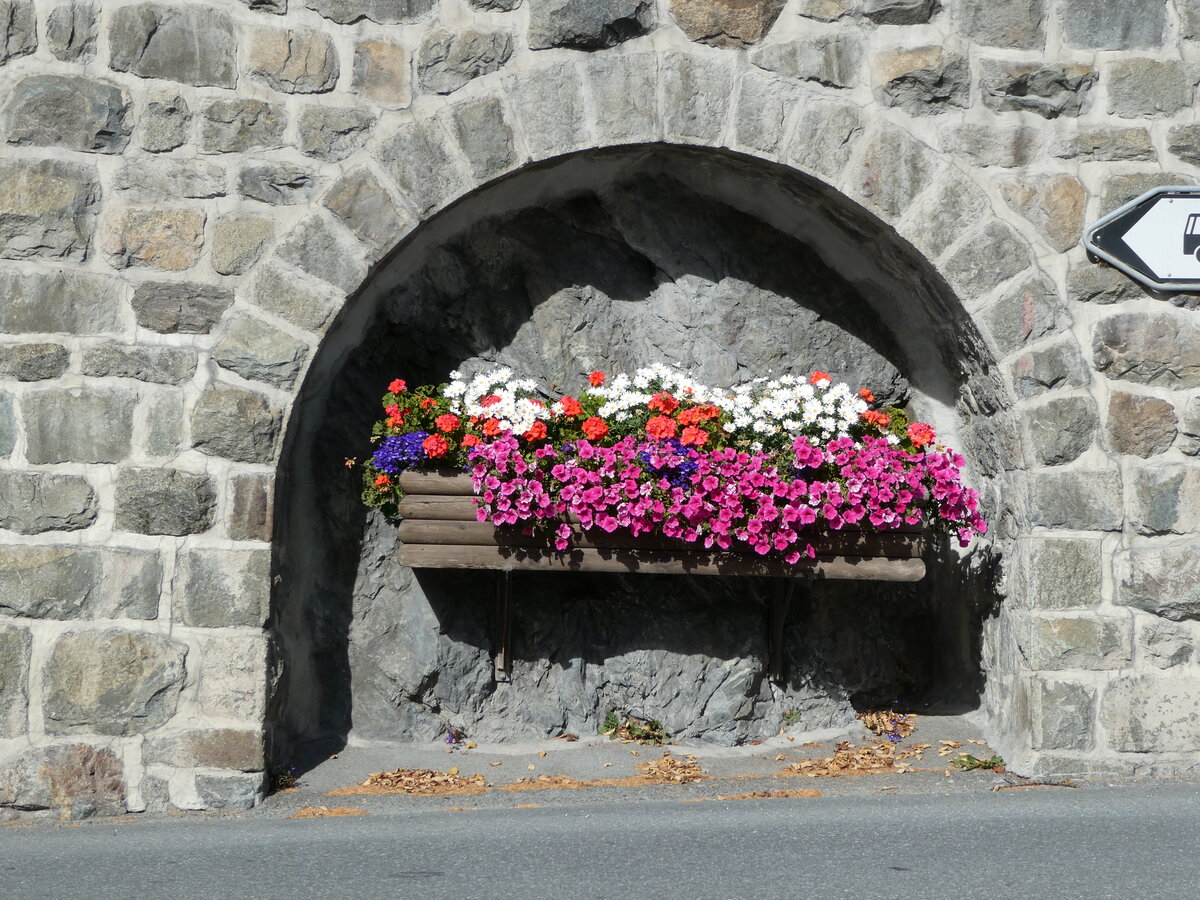 (241'091) - Blumenschmuck in der Mauer am 12. Oktober 2022 beim Bahnhof St. Moritz