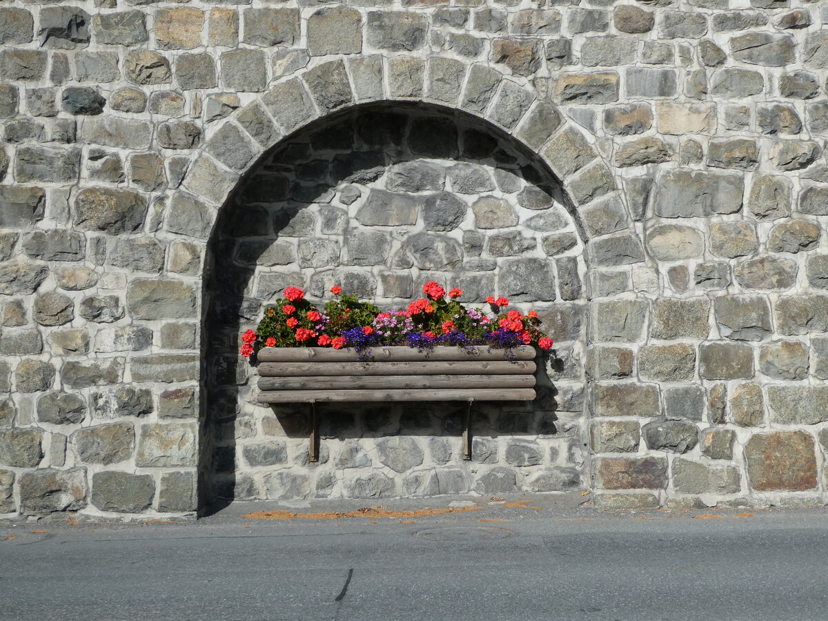 (241'093) - Blumenschmuck in der Mauer am 12. Oktober 2022 beim Bahnhof St. Moritz
