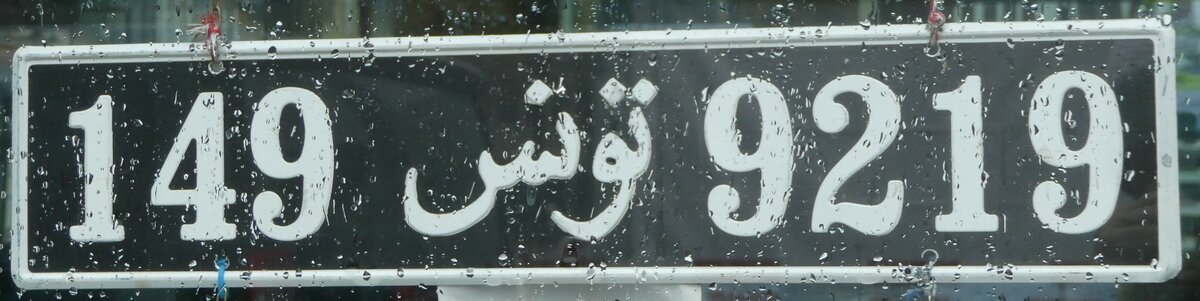 (242'137) - Autonummer aus Tunesien - 149 9219 - am 5. November 2022 beim Bahnhof Interlaken Ost