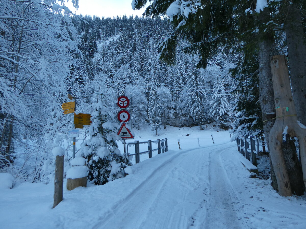 (243'609) - Grenzbr�cke vom Kanton Schwyz in den Kanton Uri am 8. Dezember 2022 in Riemenschtalden/Sisikon