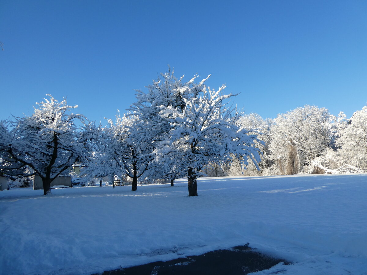 (245'190) - Winter in Thun-Lerchenfeld am 19. Januar 2023