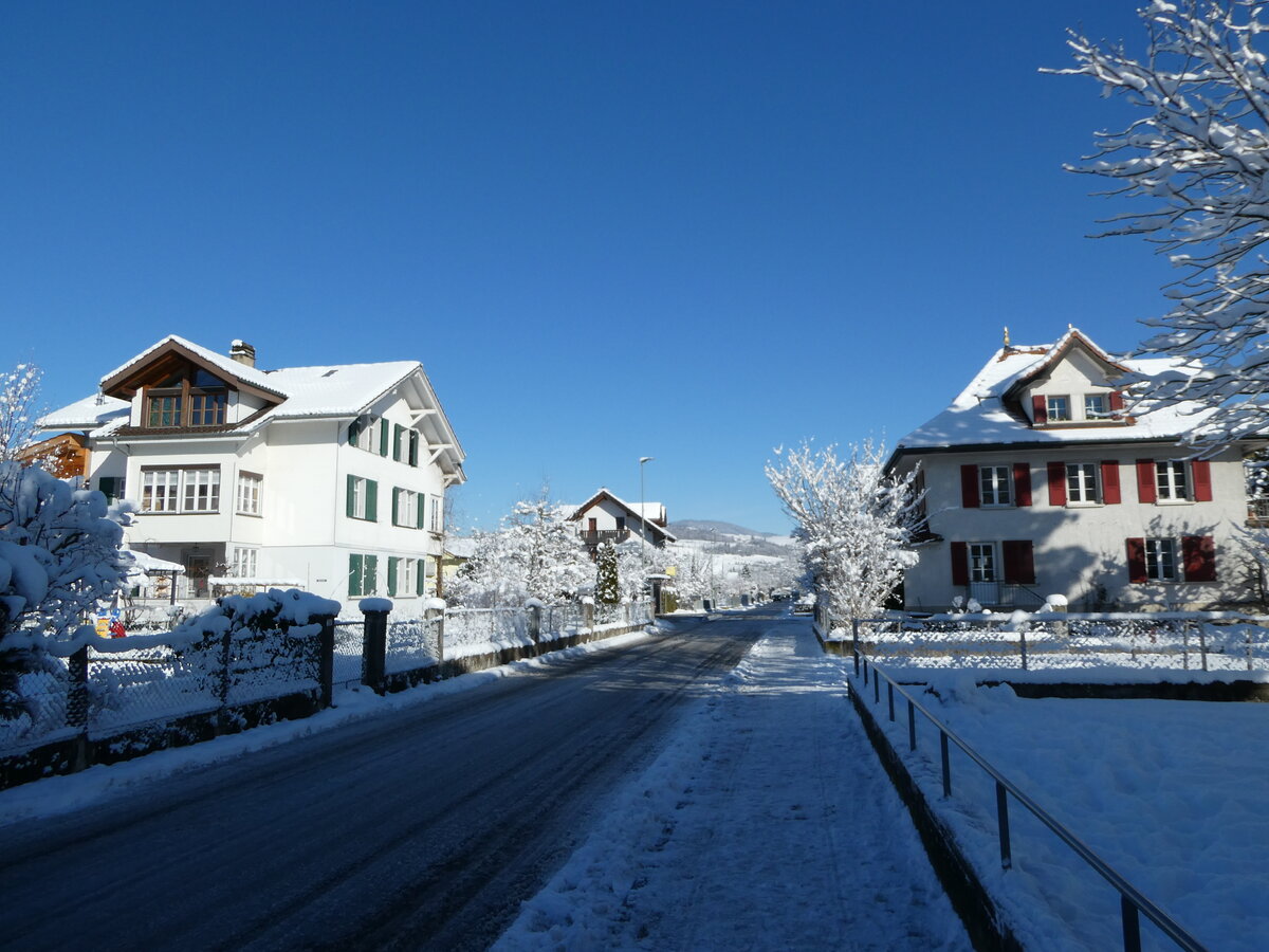 (245'193) - Winter in Thun-Lerchenfeld am 19. Januar 2023