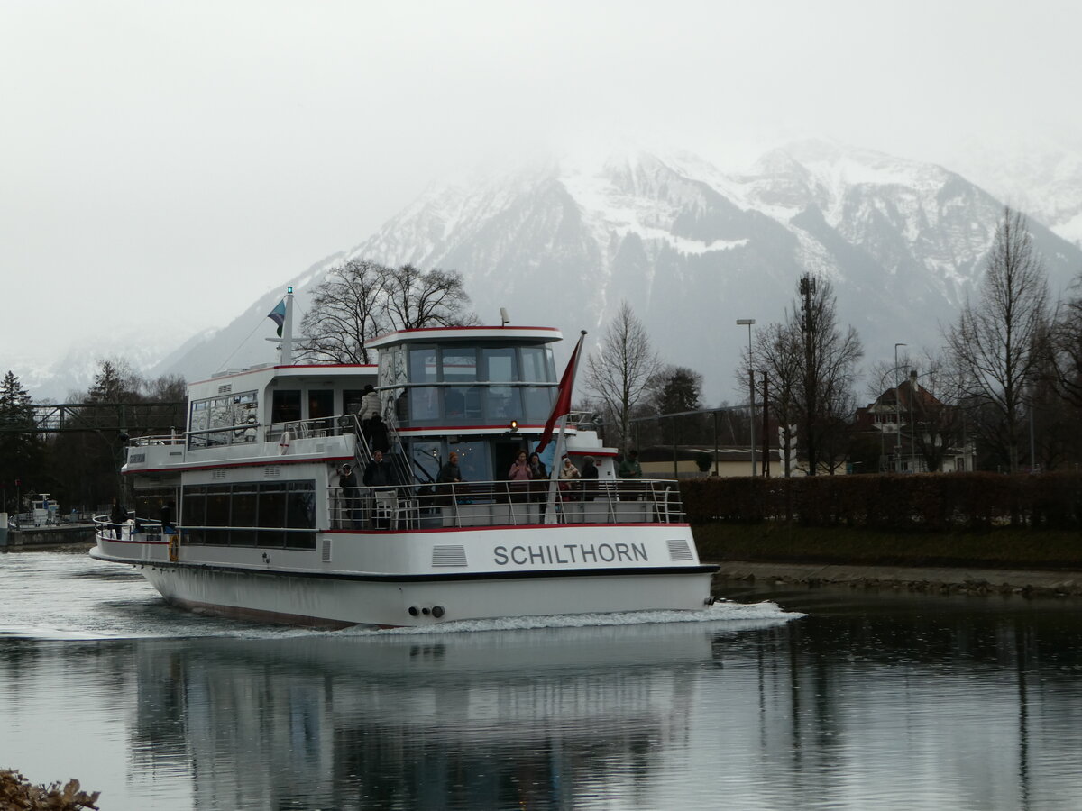 (246'965) - Motorschiff Schilthorn am 8. M�rz 2023 an der Schiffl�ndte Thun