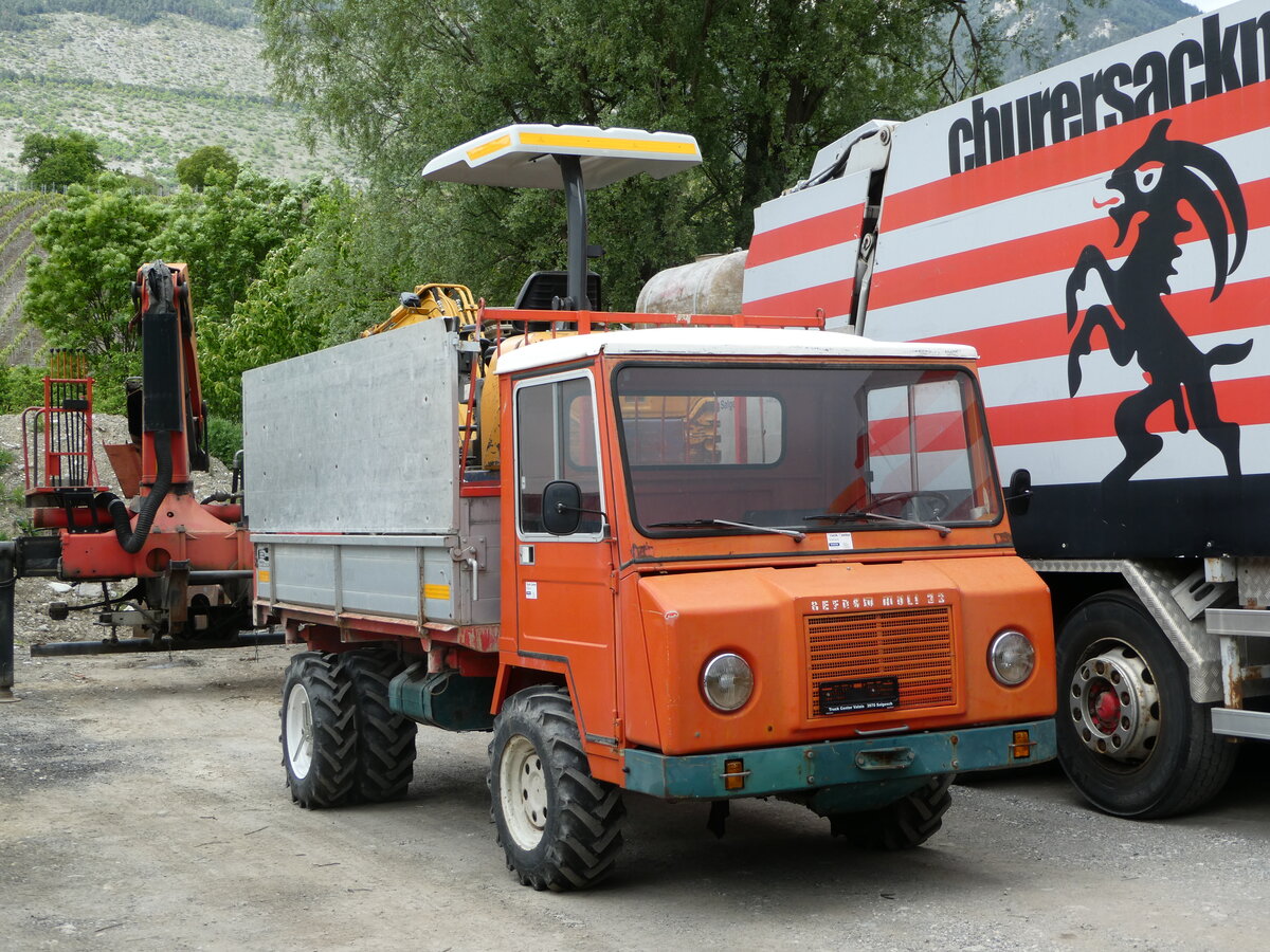 (250'004) - Reform-Muli am 13. Mai 2023 in Salgesch, Truck Center Valais