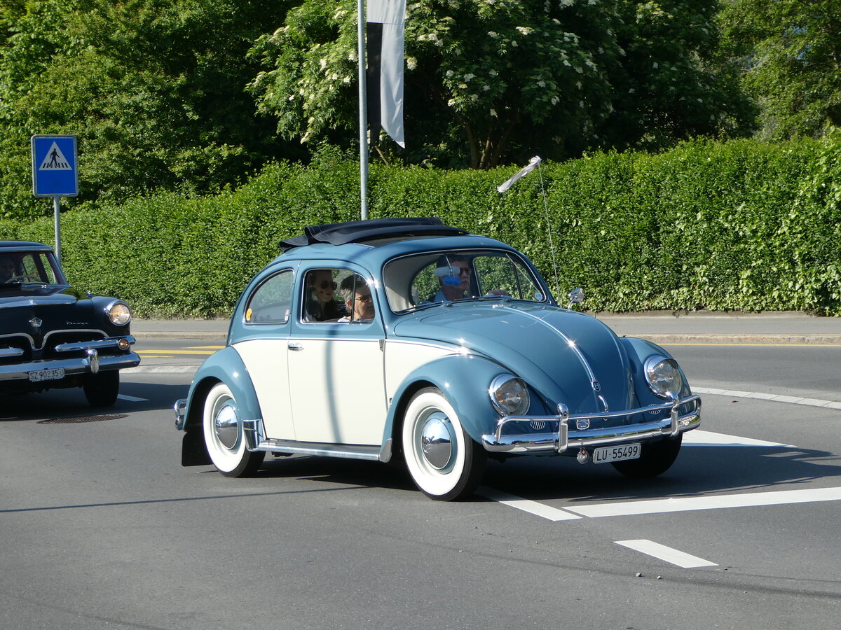 (250'511) - VW-K�fer - LU 55'499 - am 27. Mai 2023 in Sarnen, OiO