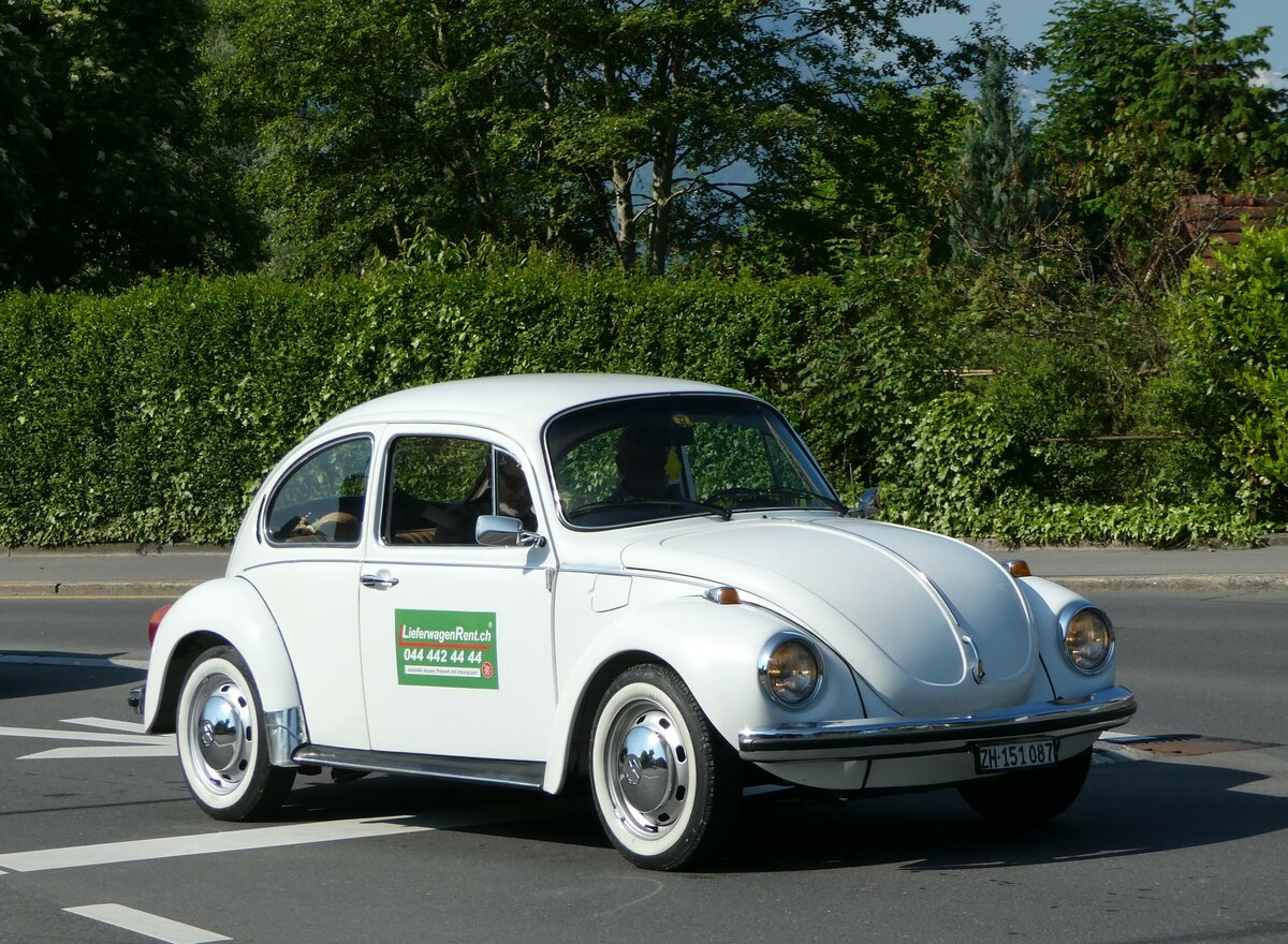 (250'533) - VW-K�fer - ZH 151'087 - am 27. Mai 2023 in Sarnen, OiO