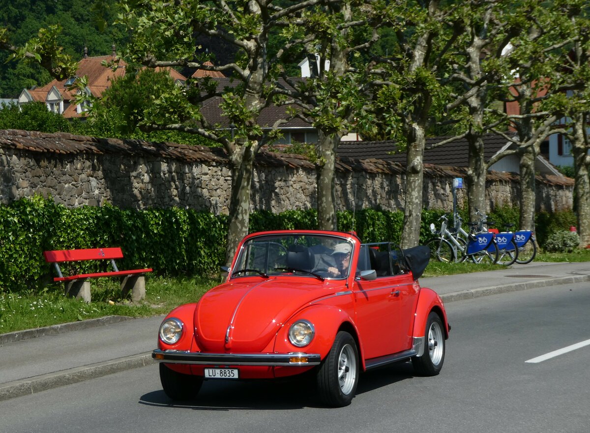 (250'641) - VW-K�fer - LU 8835 - am 27. Mai 2023 in Sarnen, OiO