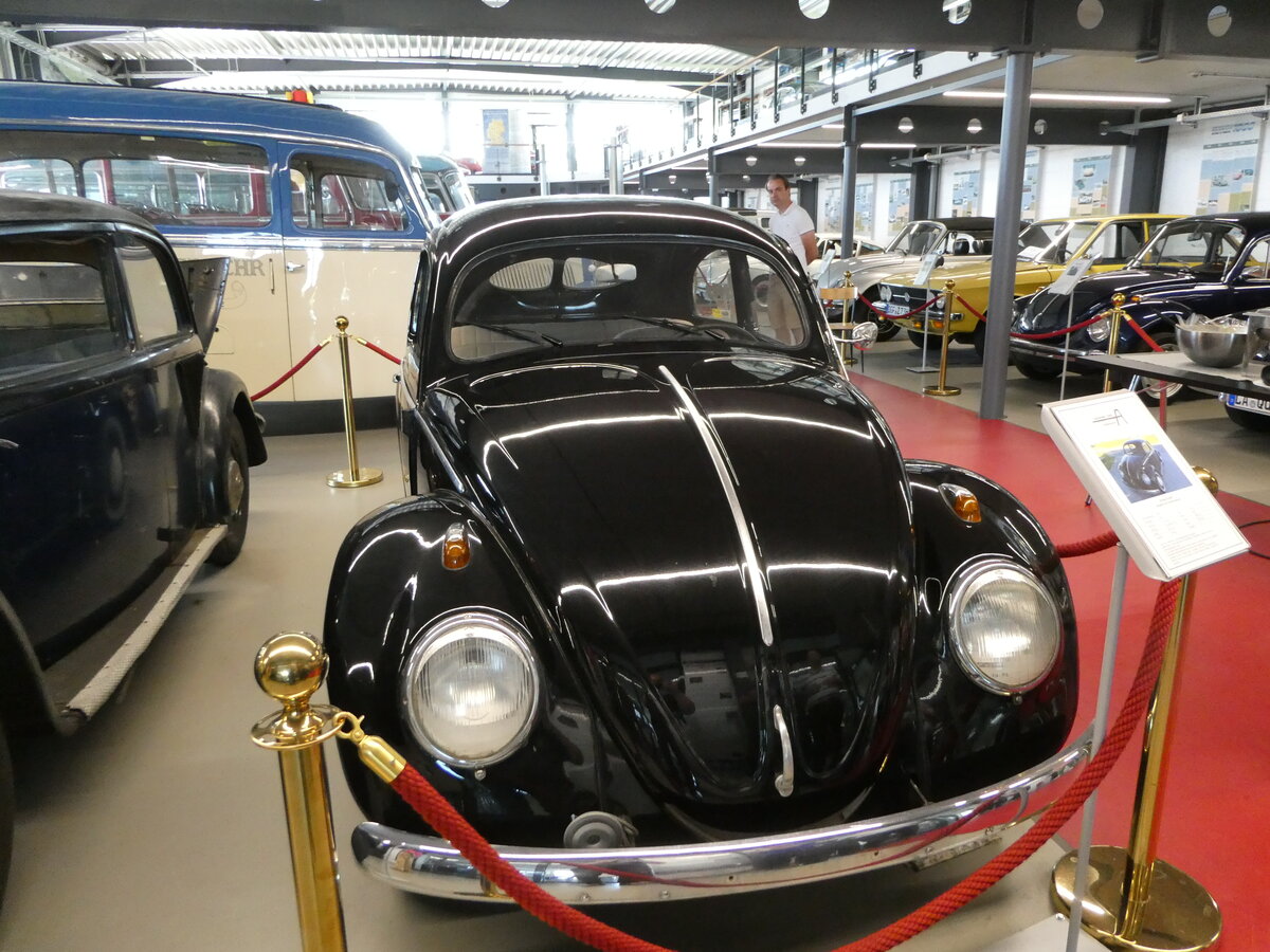 (250'931) - VW-K�fer am 4. Juni 2023 in Pilsting, Auw�rter Automobil-Park