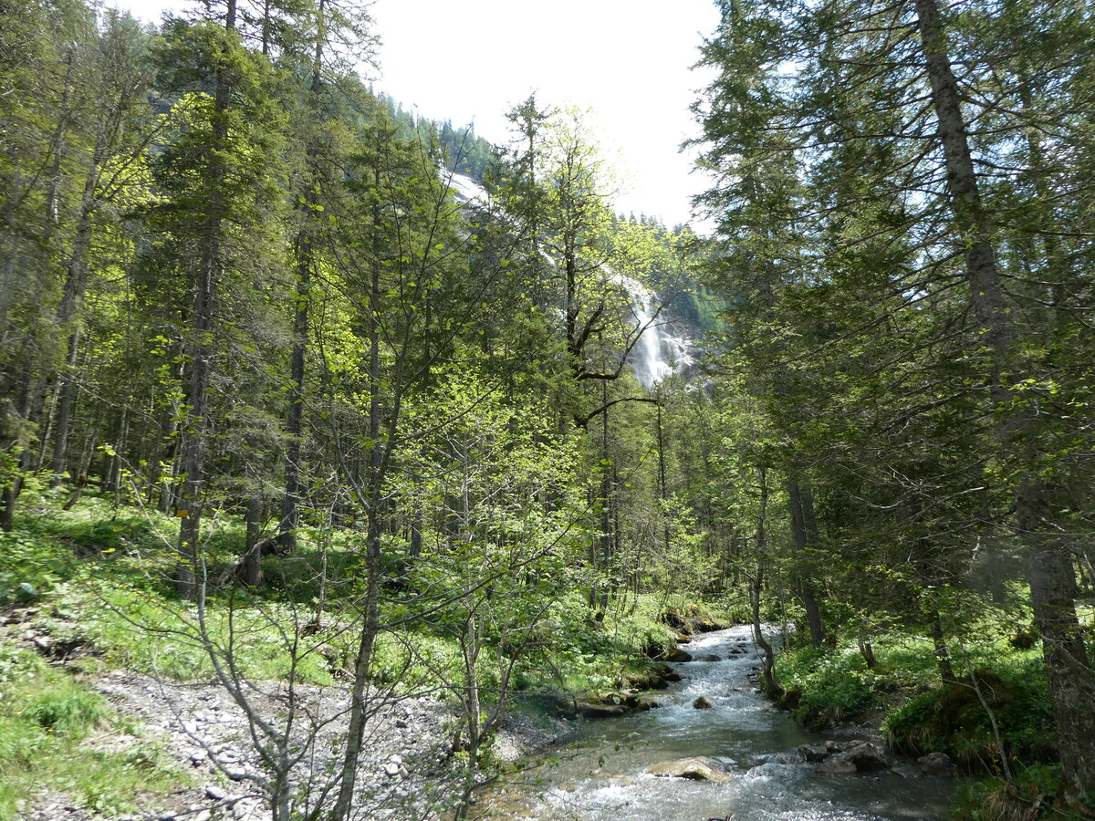 (251'132) - Bach- und Waldlandschaft am 6. Juni 2023 beim Lauenensee in Lauenen