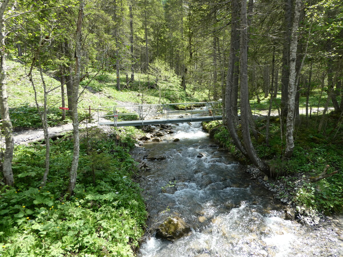 (251'134) - Bach- und Waldlandschaft am 6. Juni 2023 beim Lauenensee in Lauenen