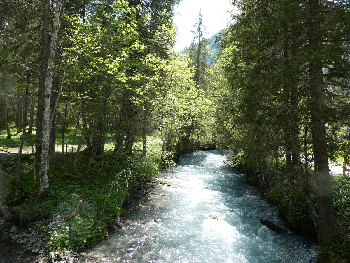 (251'135) - Bach- und Waldlandschaft am 6. Juni 2023 beim Lauenensee in Lauenen