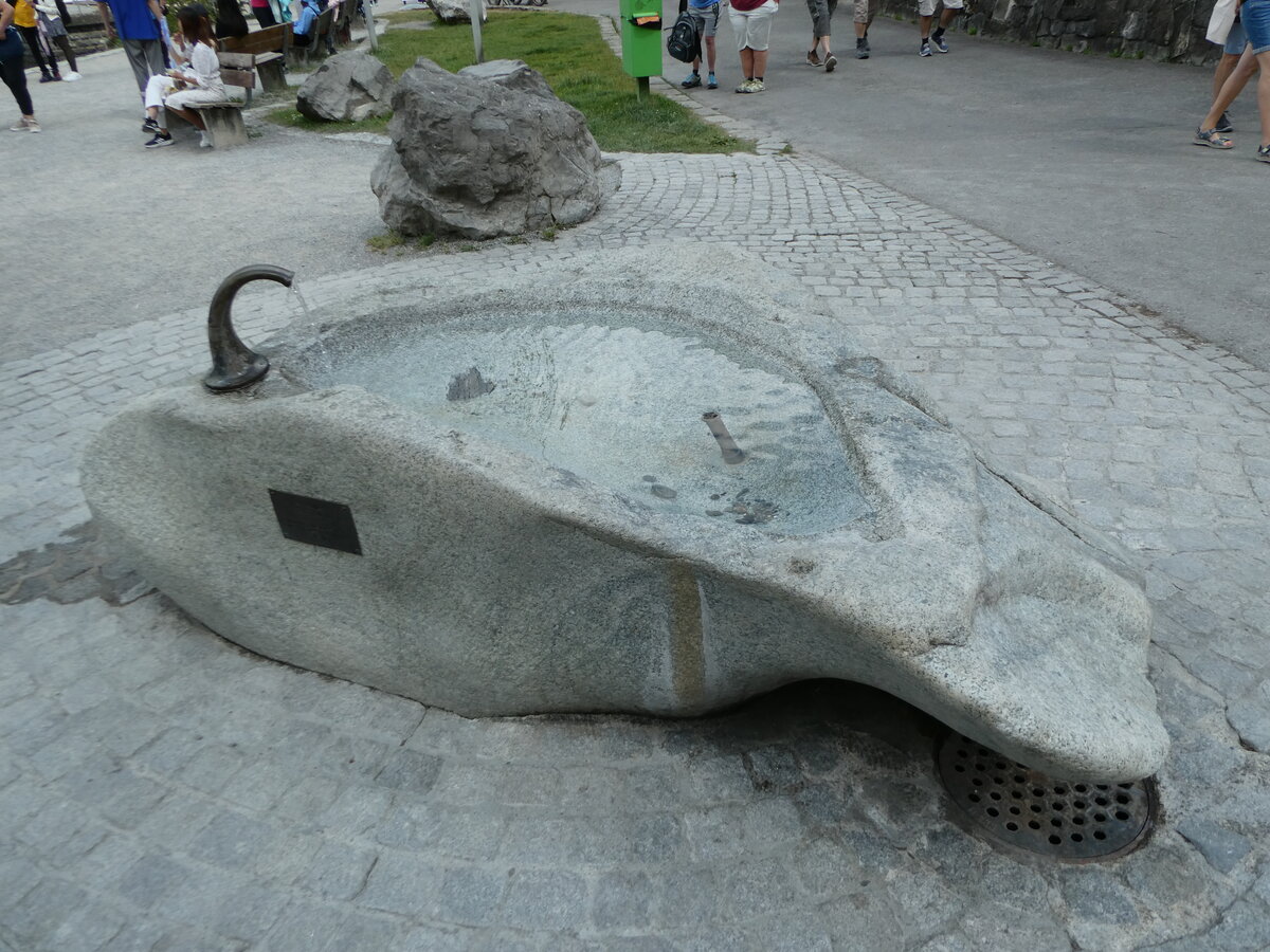 (251'171) - Brunnen am 8. Juni 2023 in Iseltwald