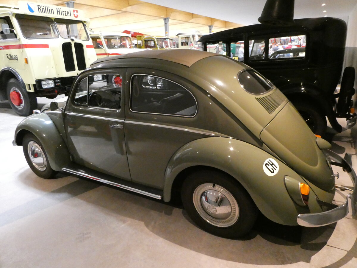 (251'308) - VW-K�fer am 10. Juni 2023 in N�fels, FBW-Museum