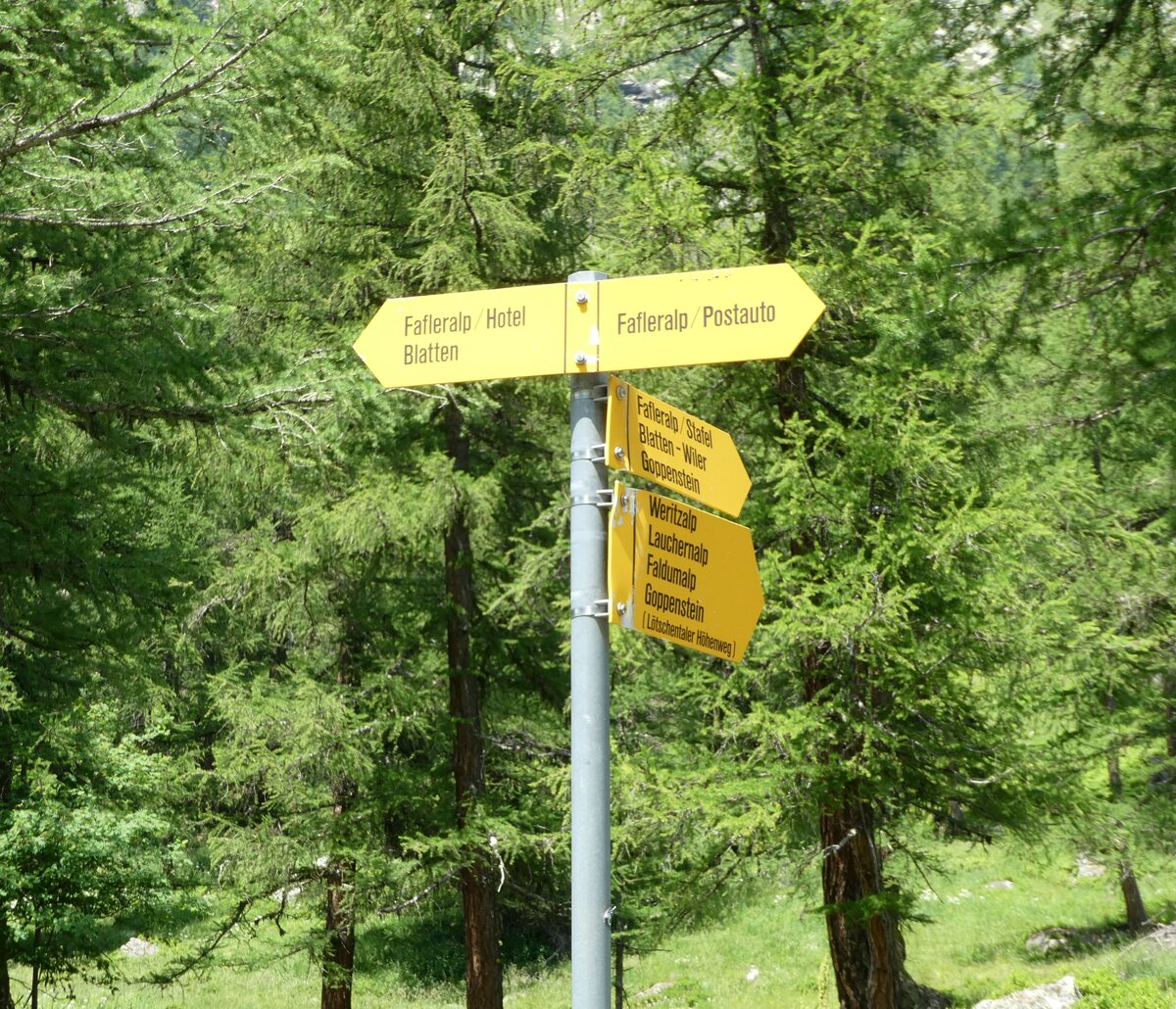 (252'108) - Wegweiser am 26. Juni 2023 auf der Fafleralp