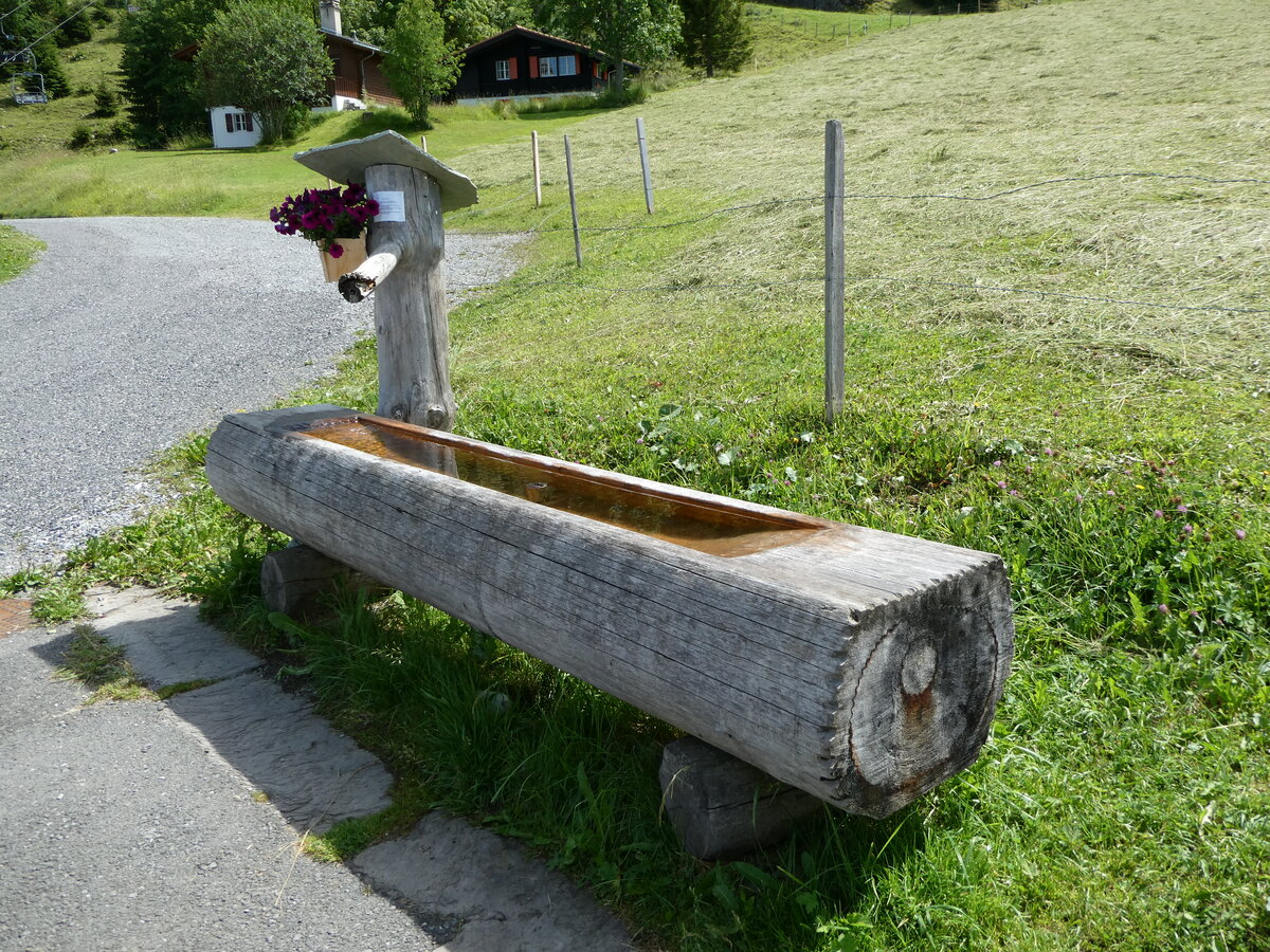 (252'656) - Brunnen am 14. Juli 2023 auf der Axalp
