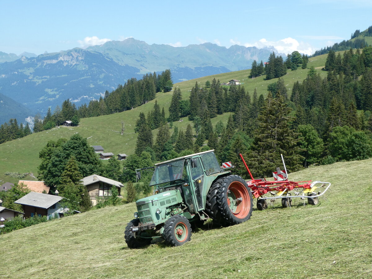 (252'661) - B�hrer am 14. Juli 2023 auf der Axalp