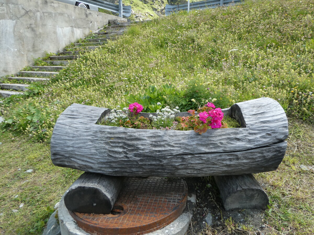 (253'224) - Blumentr�gli am 30. Juli 2023 in Dixence