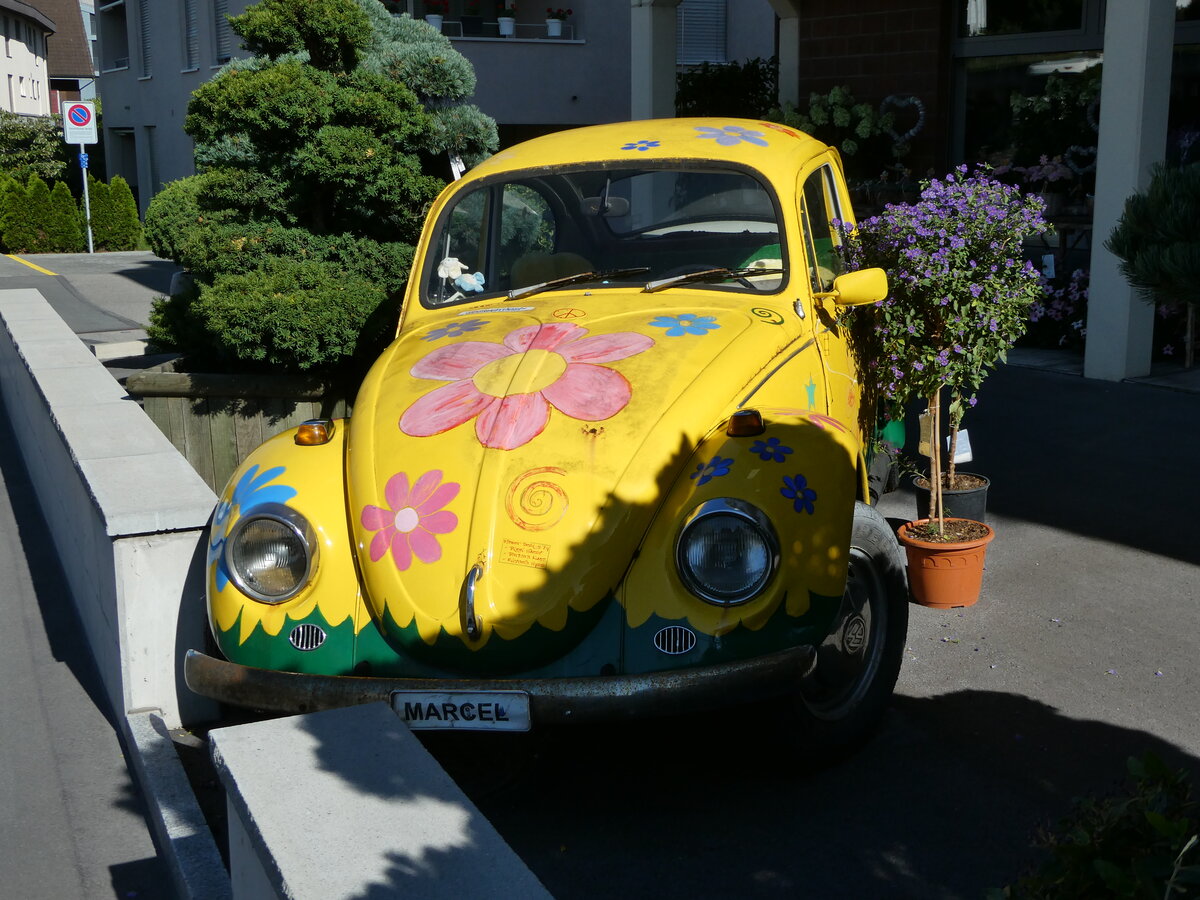 (253'306) - VW-K�fer am 3. August 2023 in Hochdorf