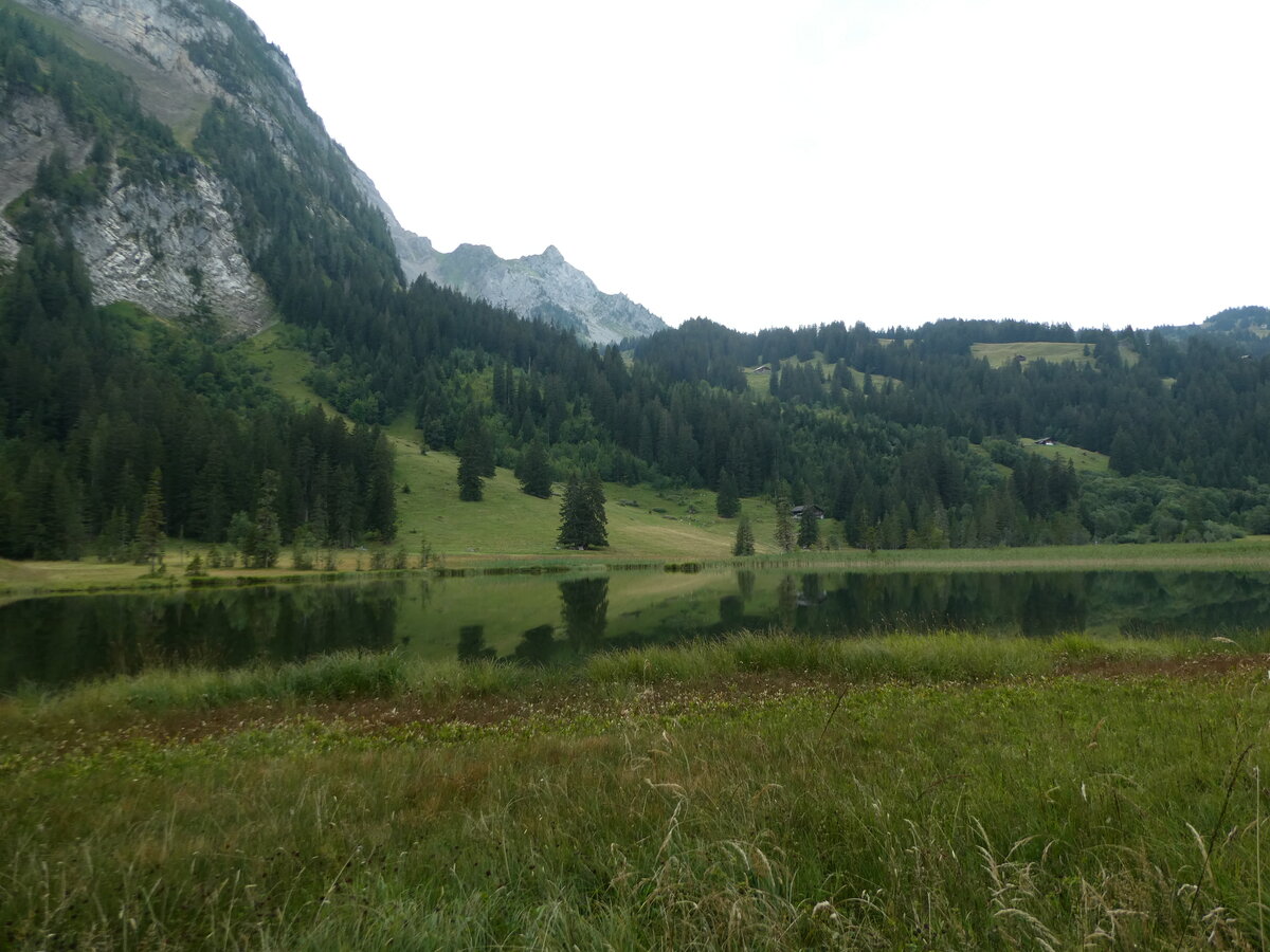 (254'249) - Am Lauenensee am 26. August 2023 bei Lauenen