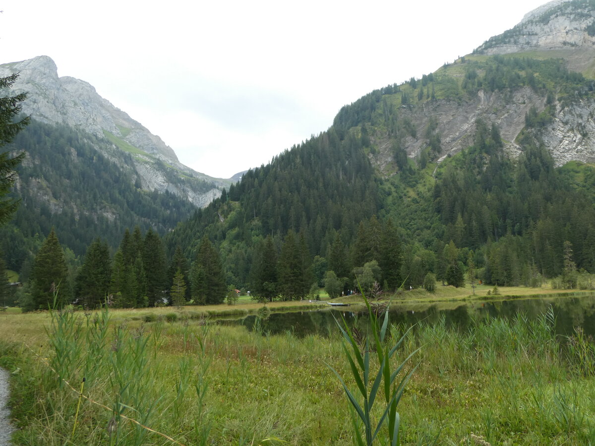 (254'250) - Am Lauenensee am 26. August 2023 bei Lauenen