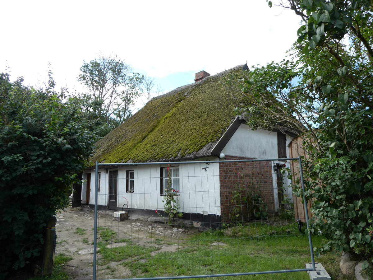 (254'558) - Schilfdachhaus am 1. September 2023 in Vitt