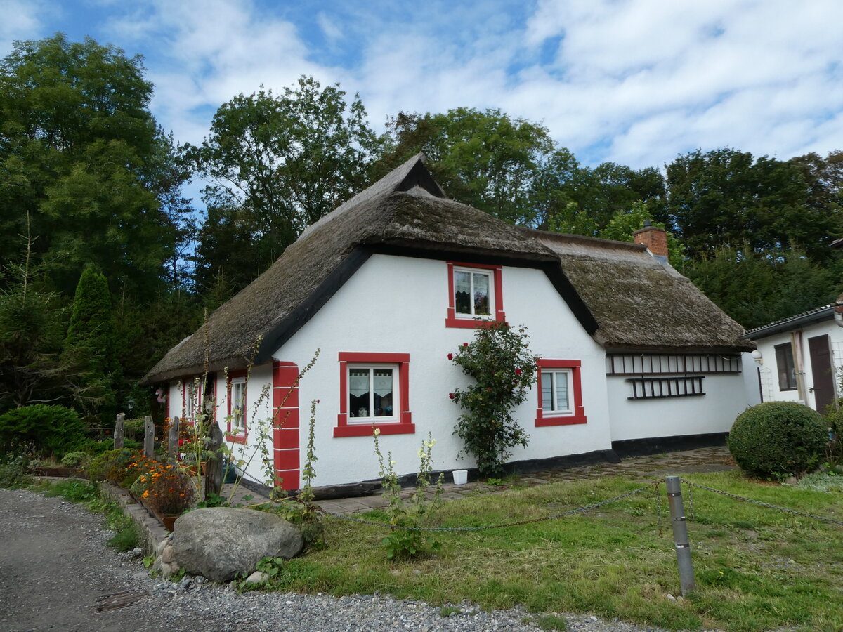 (254'559) - Schilfdachhaus am 1. September 2023 in Vitt