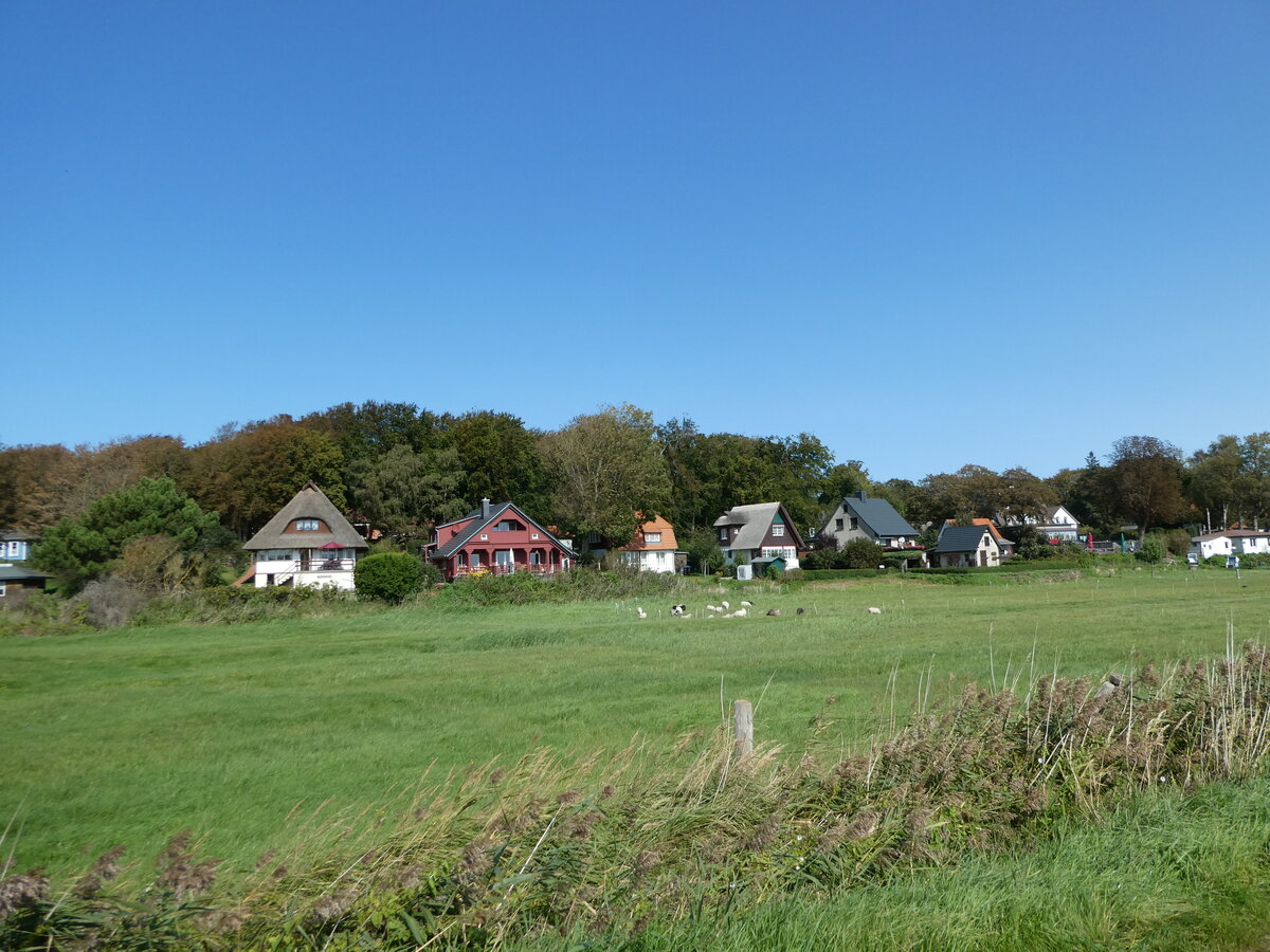 (254'649) - H�user und Schafe am 2. September 2023 in Kloster