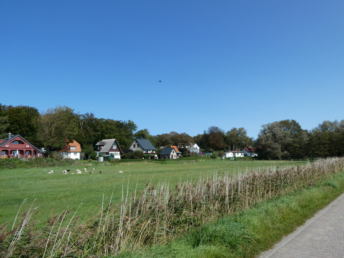 (254'650) - H�user und Schafe am 2. September 2023 in Kloster