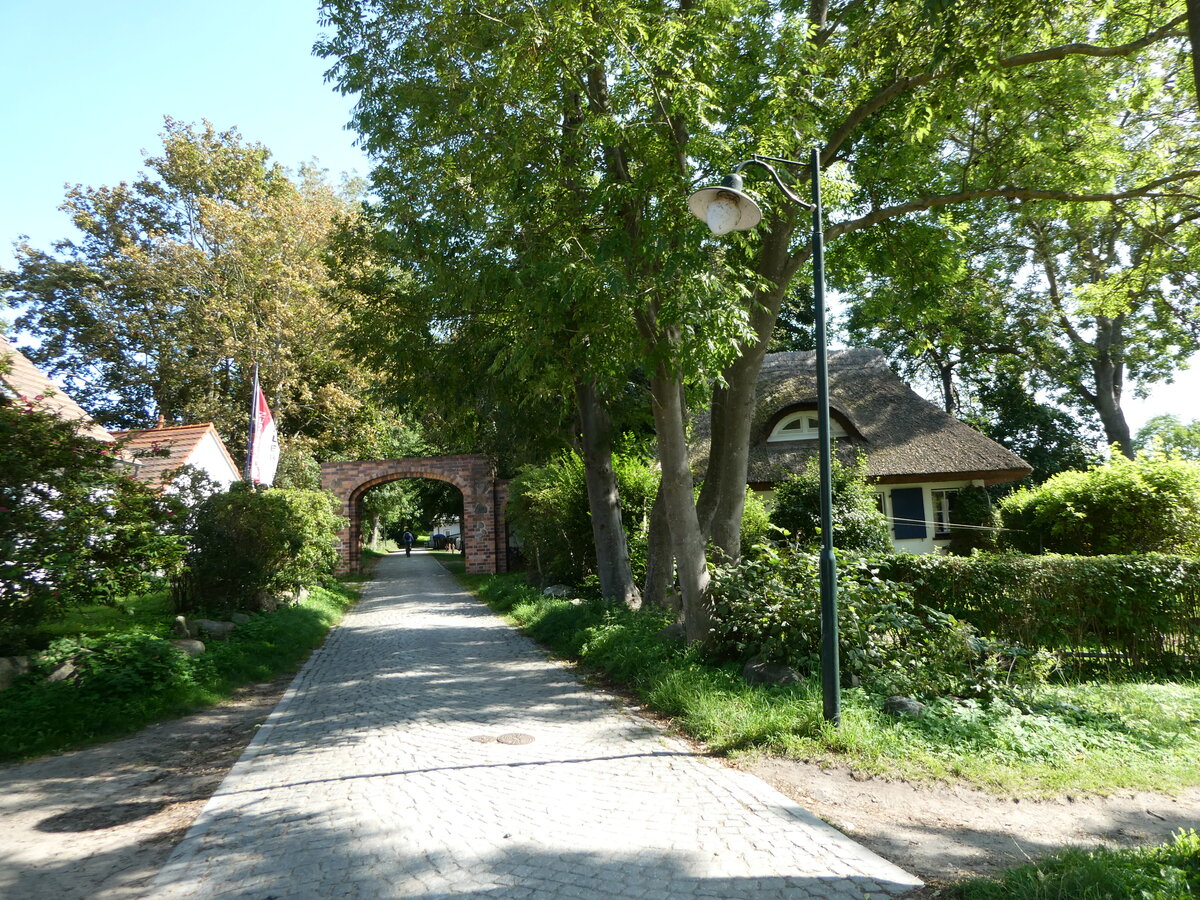 (254'654) - Torbogen und B�ume am 2. September 2023 in Kloster