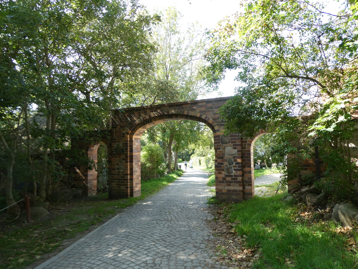 (254'656) - Torbogen und B�ume am 2. September 2023 in Kloster