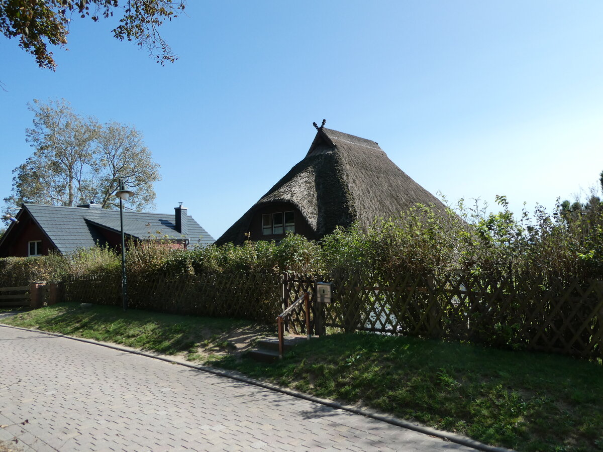 (254'687) - Schilfdachhaus am 2. September 2023 in Kloster