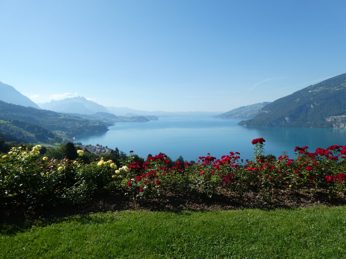 (254'817) - Der Thunersee am 5. September 2023 von der Meielisalp aus
