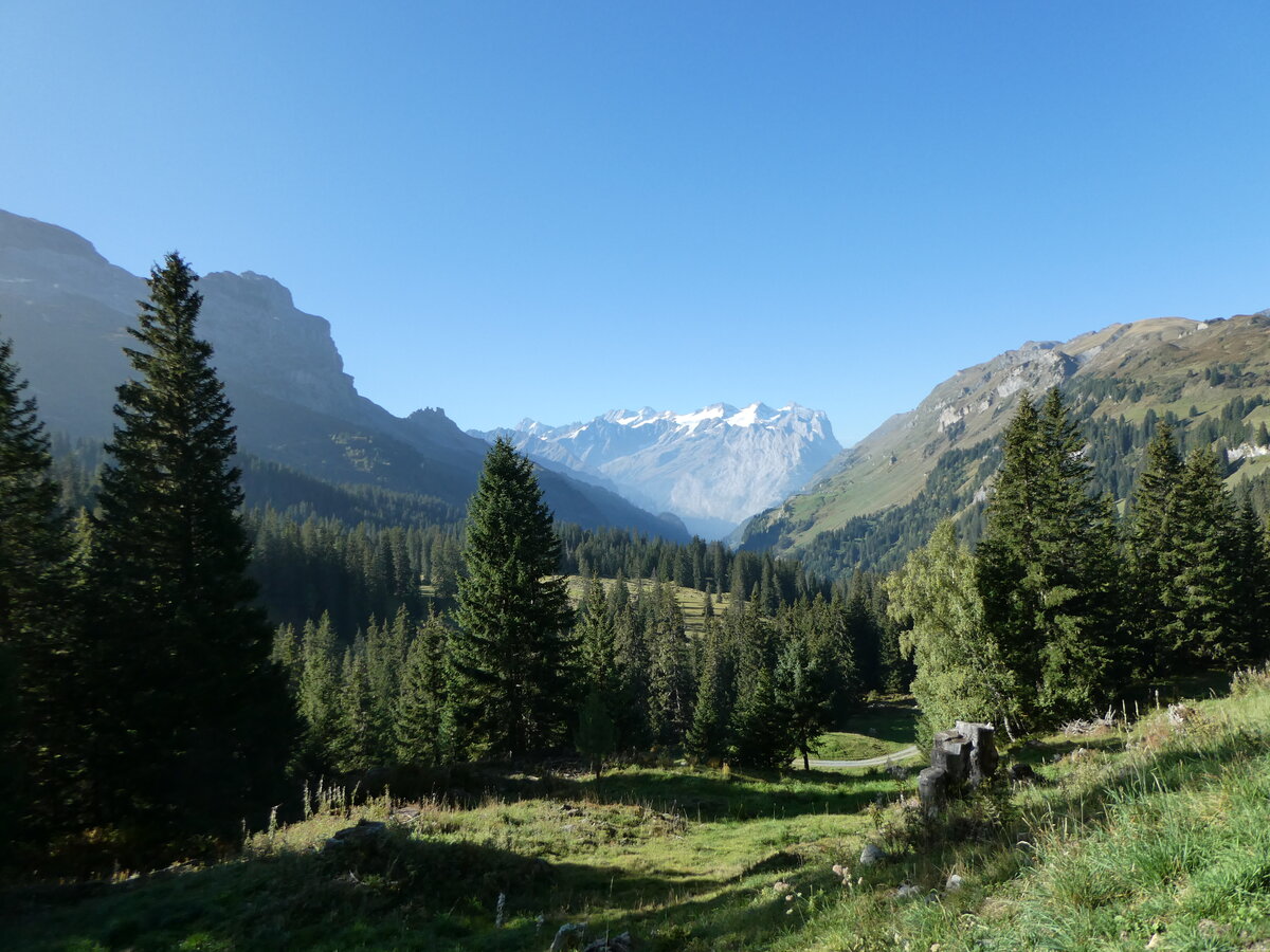 (255'766) - Das Wetterhorn am 1. Oktober 2023 von der Engstlenalp aus