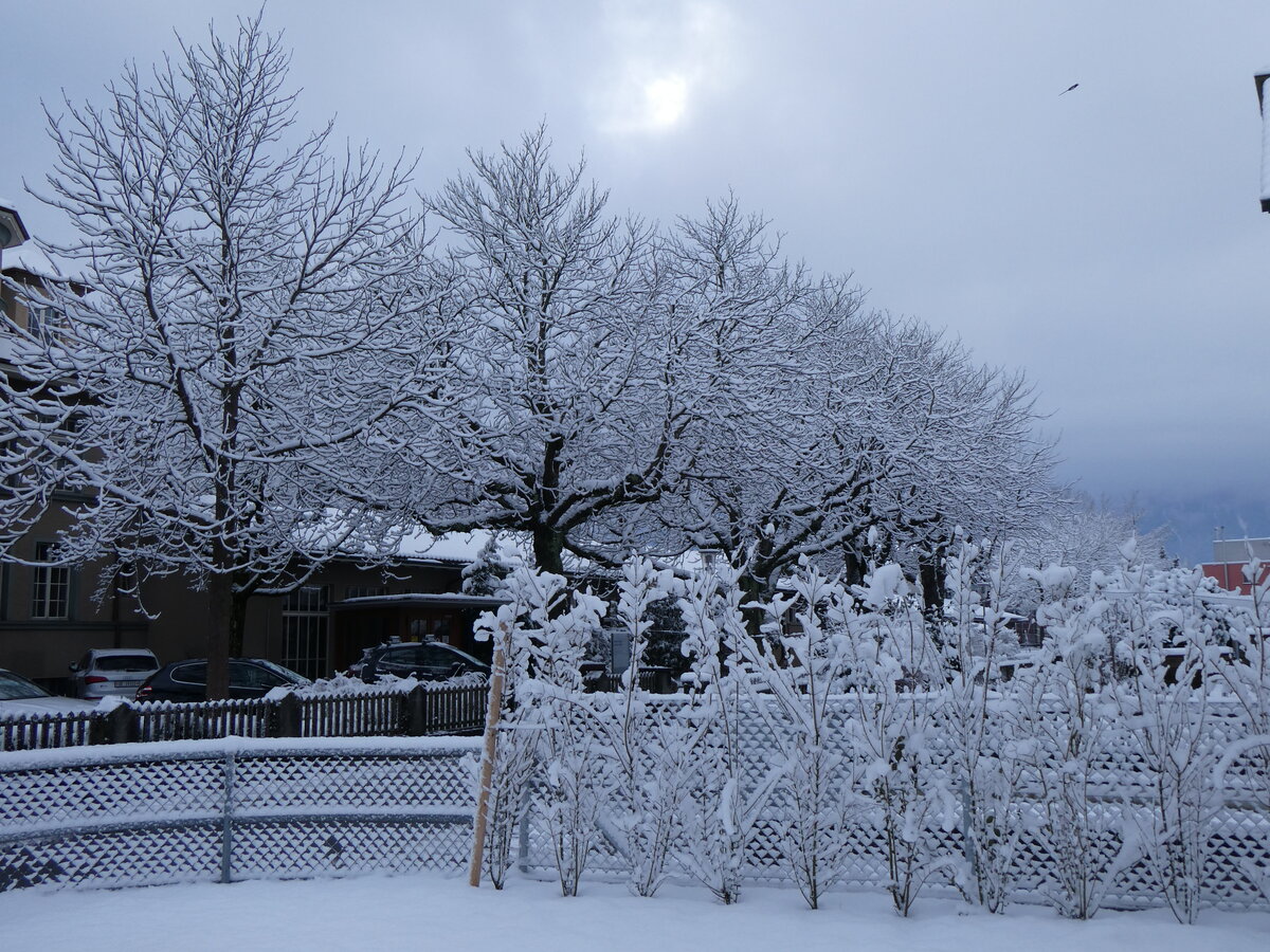 (258'760) - Neuschnee am 19. Januar 2024 in Thun-Lerchenfeld
